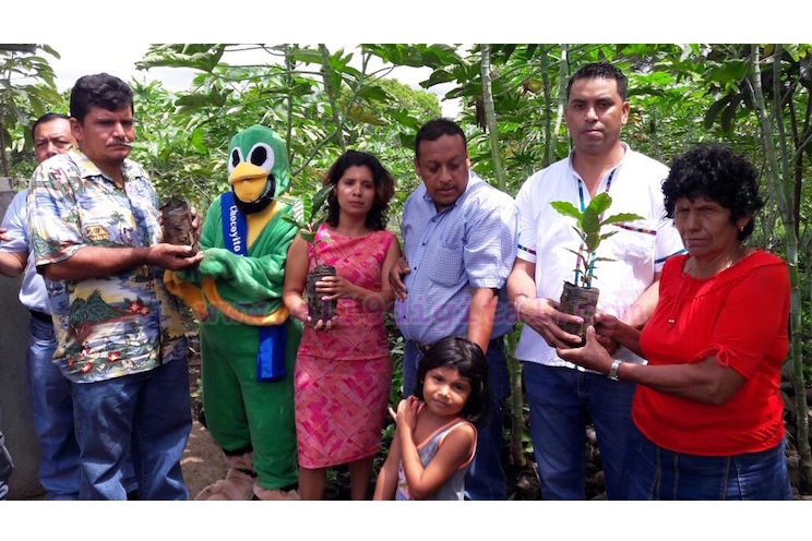 Productores de Ticuantepe se suman a Cruzada Nacional de Reforestación