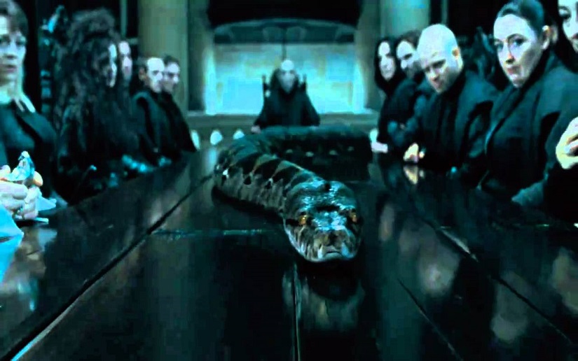J K Rowling Revela El Origen De Nagini La Serpiente De Voldemort j-k-rowling-revela-el-origen-de-nagini-la-serpiente-de-voldemort