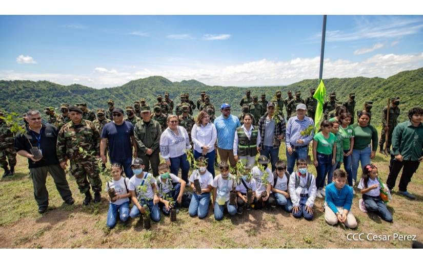 Marena avanza con reforestación a través de la Campaña “Verde que te