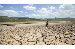 Temperatura aumentaría siete grados por efecto invernadero