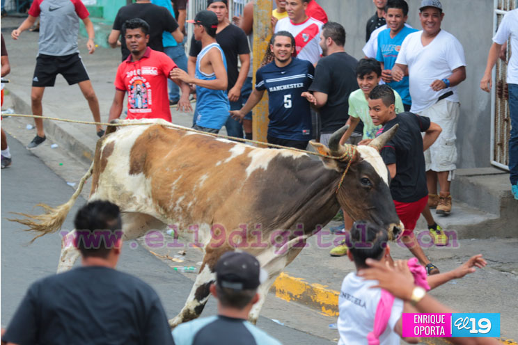 Tope de toro y vacas culonas promueven las tradiciones agostinas