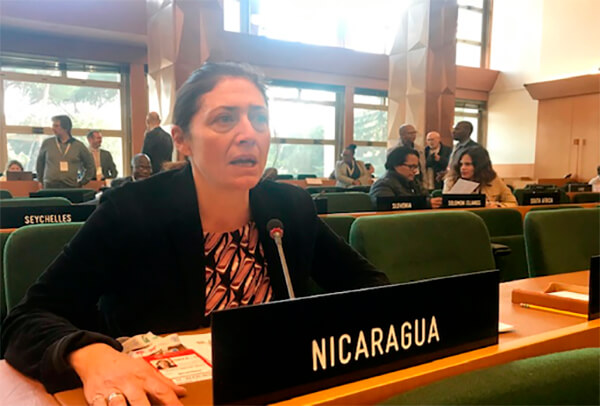 Nicaragua participa en la Comisión de Recursos Genéticos para la Alimentación y la Agricultura de la FAO