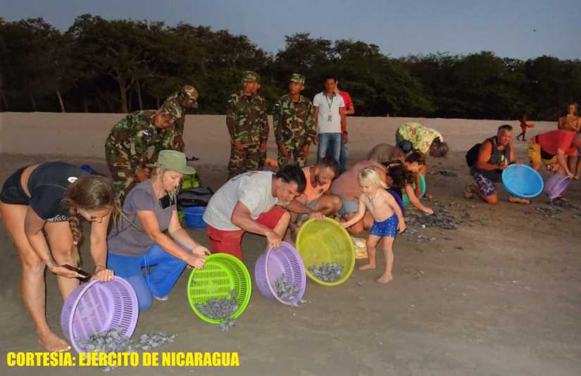 ejercito-liberacion-tortuguillos-nicaragua