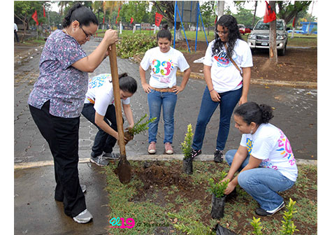 Hospital Bertha Calderón efectúa jornada de arborización