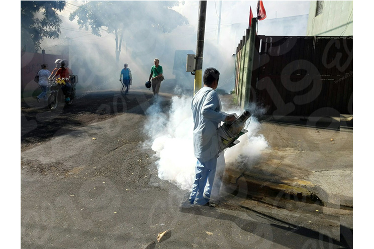 Barrio Grenada asume la tarea de luchar contra los mosquitos
