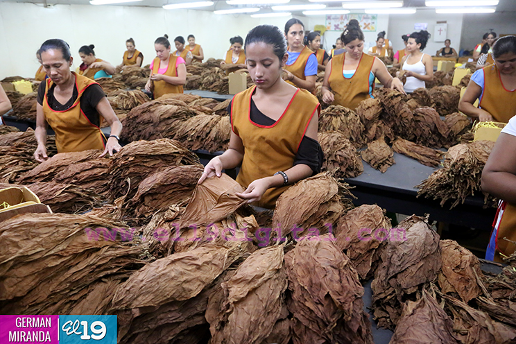 Participantes internacionales del V Festival del Tabaco “Puro Sabor” visitan fábricas de Estelí