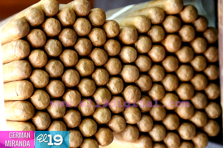 Participantes internacionales del V Festival del Tabaco “Puro Sabor” visitan fábricas de Estelí