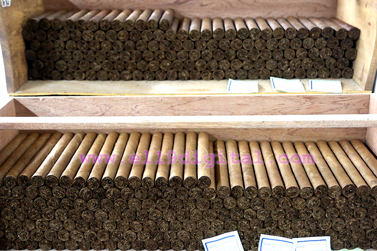 Participantes internacionales del V Festival del Tabaco “Puro Sabor” visitan fábricas de Estelí