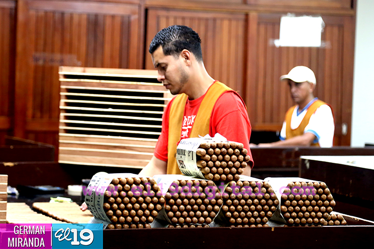 Participantes internacionales del V Festival del Tabaco “Puro Sabor” visitan fábricas de Estelí