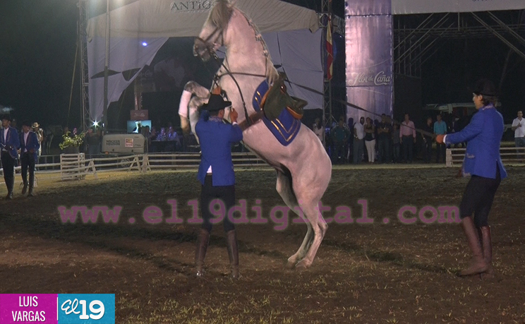 Nicaragua inaugura X Feria del Caballo Pura Raza Española