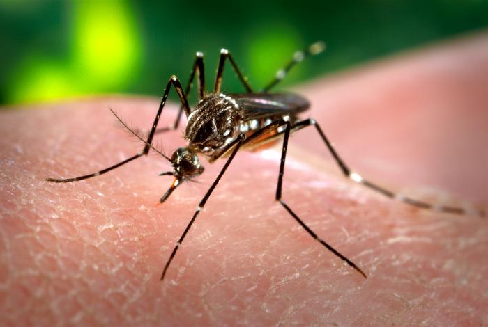 Brote de dengue en Argentina se cobra un muerto