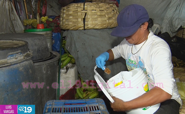 Gobierno combatirá la leptospirosis en 136 municipios del país