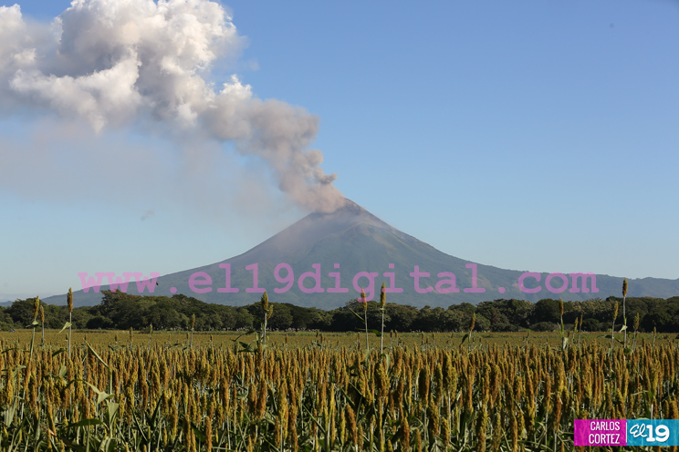 Volcán Momotombo suma 42 explosiones