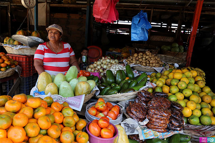 Resultado de imagen de produccion de hortalizas en nicaragua"