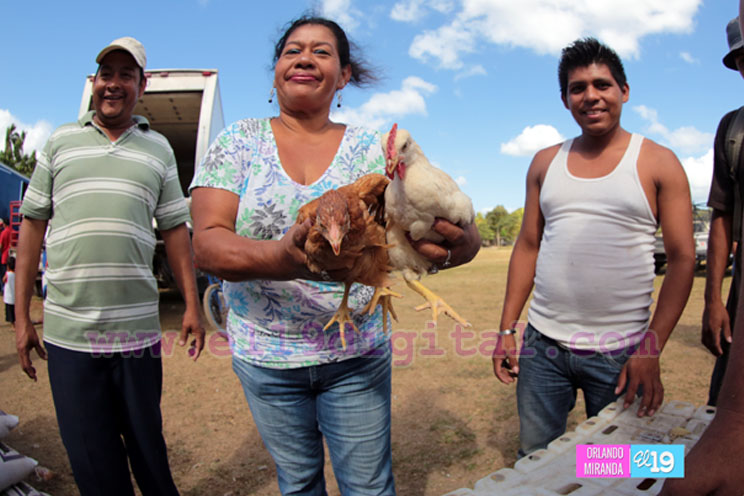 Bono Productivo Alimentario dinamiza la economía de las familias
