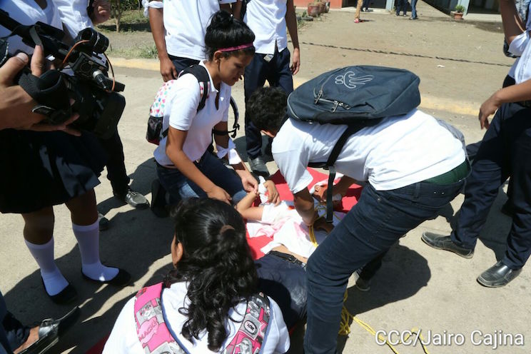 Institutos públicos participan activamente en Ejercicio de Protección Frente a Desastres