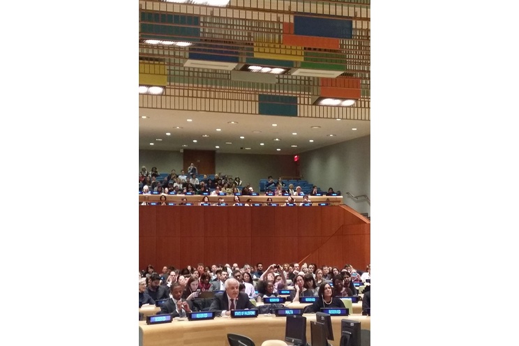 Nicaragua preside Comité de Palestina
