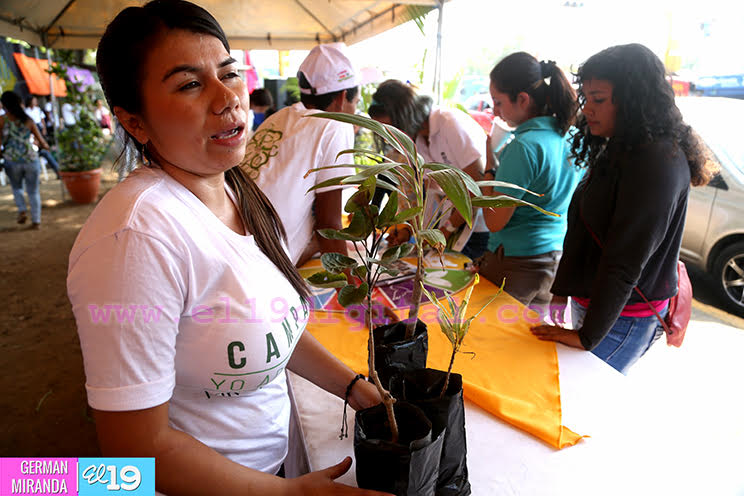 Miles se desbordan en la gran campaña “Yo adopto un árbol”