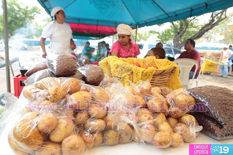 Celebran Feria de la Papa en Villa Progreso