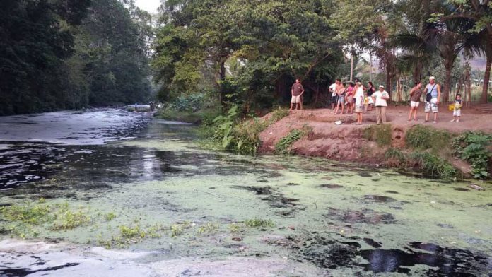 Desastre ambiental por derrame de melaza en río salvadoreño