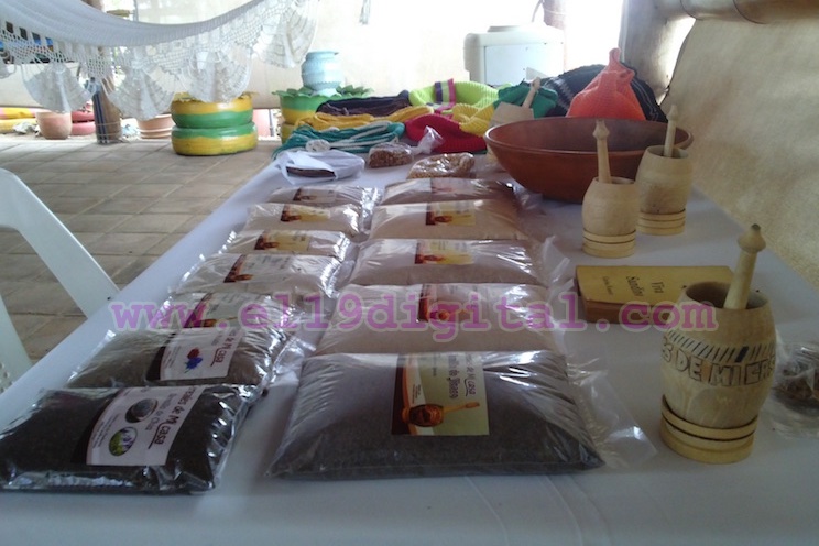 Invitan a Feria de Alimentos, Nutrientes y Medicina Natural
