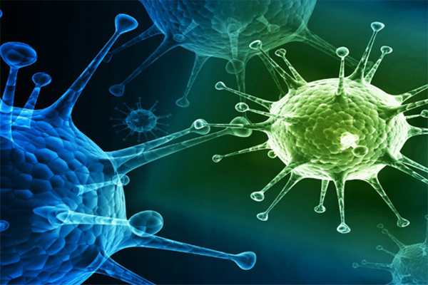 Malaria y AH1N1 disparan alarmas en Panamá