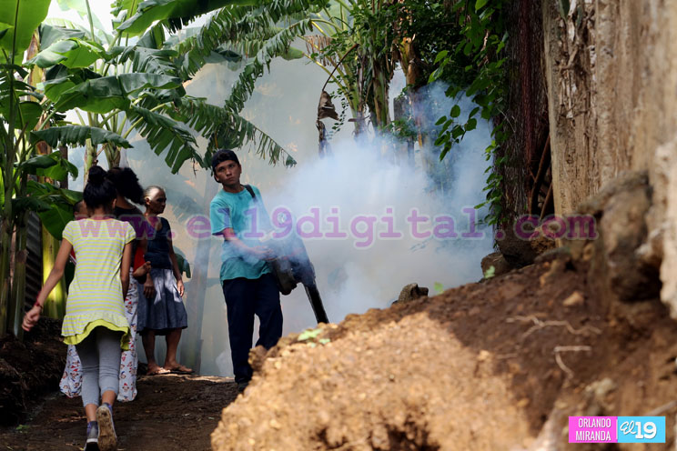 Lucha antiepidémica se desarrolla en Santo Domingo 