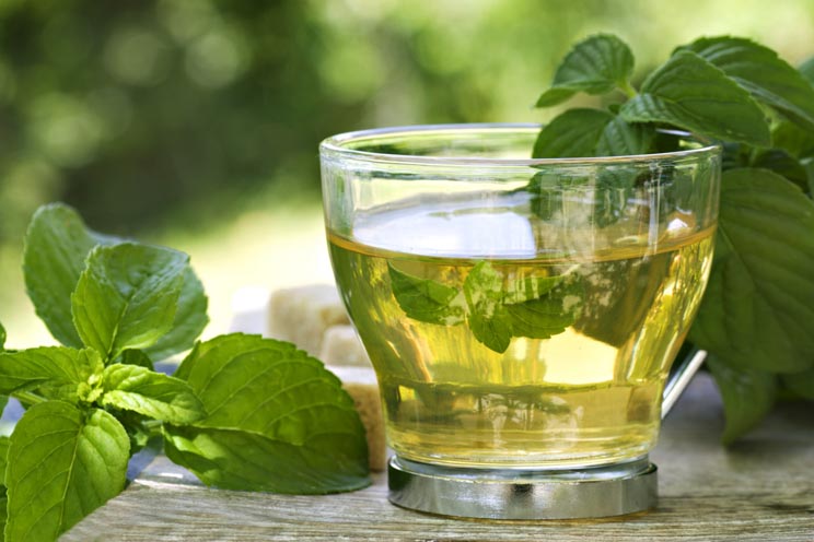 Beber té verde ayuda a mantener la boca sana