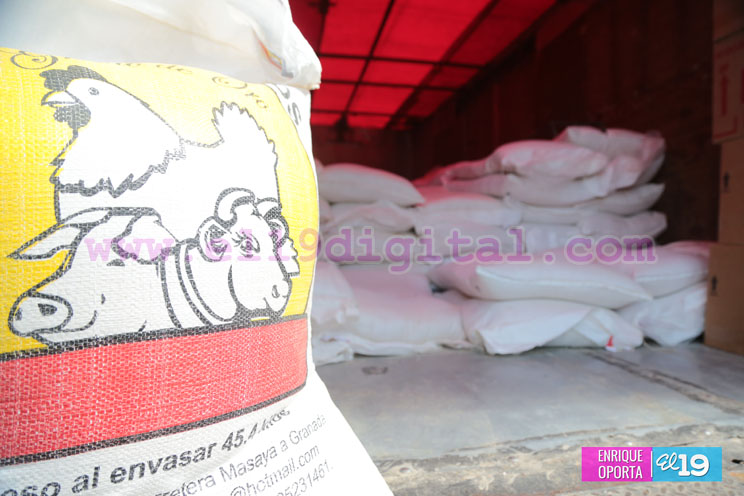 Familias de Nindirí protagonizan entrega de Bono Productivo Alimentario