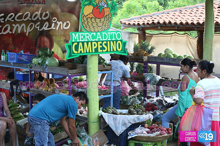 Conozca los sabores de la comida vegetariana y las especias en el Parque Nacional de Ferias
