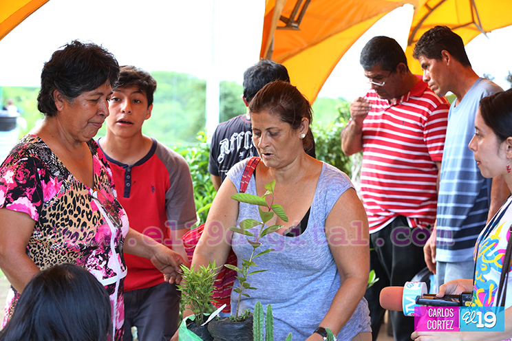 Conozca los sabores de la comida vegetariana y las especias en el Parque Nacional de Ferias