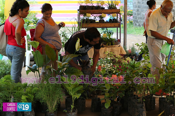 Conozca los sabores de la comida vegetariana y las especias en el Parque Nacional de Ferias