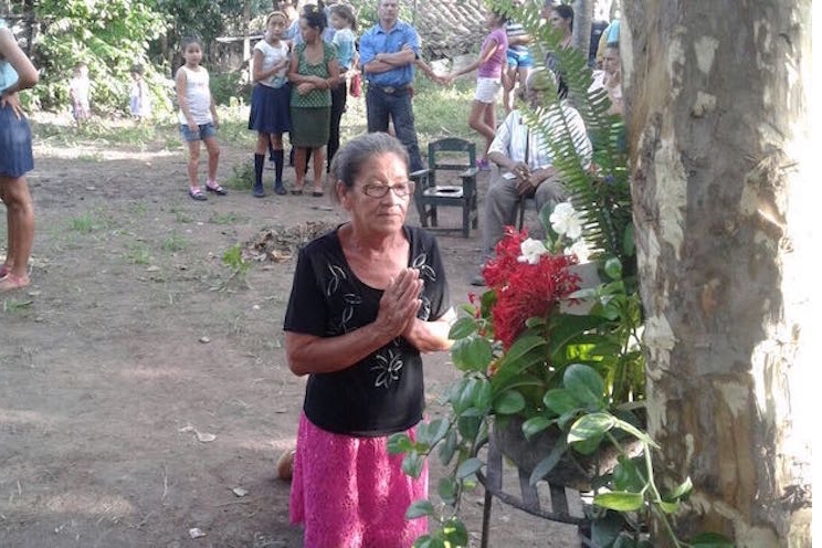 Aparece la Virgen de Guadalupe en corteza de un árbol en Estelí