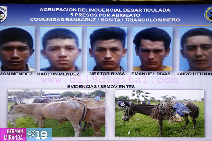 Policía sigue dando golpes a grupos delincuenciales en el campo