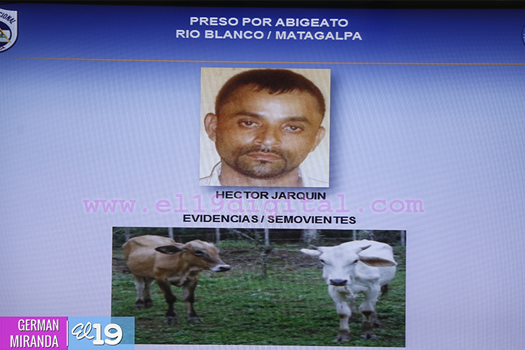 Policía sigue dando golpes a grupos delincuenciales en el campo