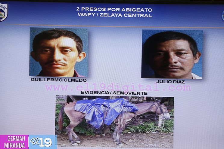 Policía sigue dando golpes a grupos delincuenciales en el campo