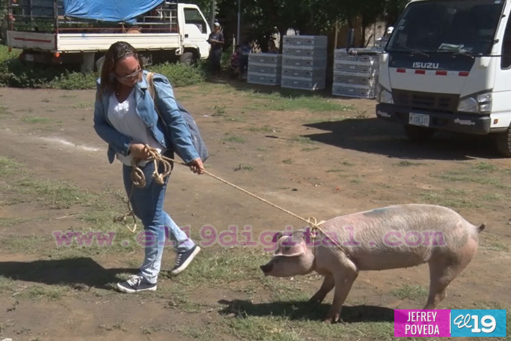 Bono Productivo Alimentario llega a más familias de Managua