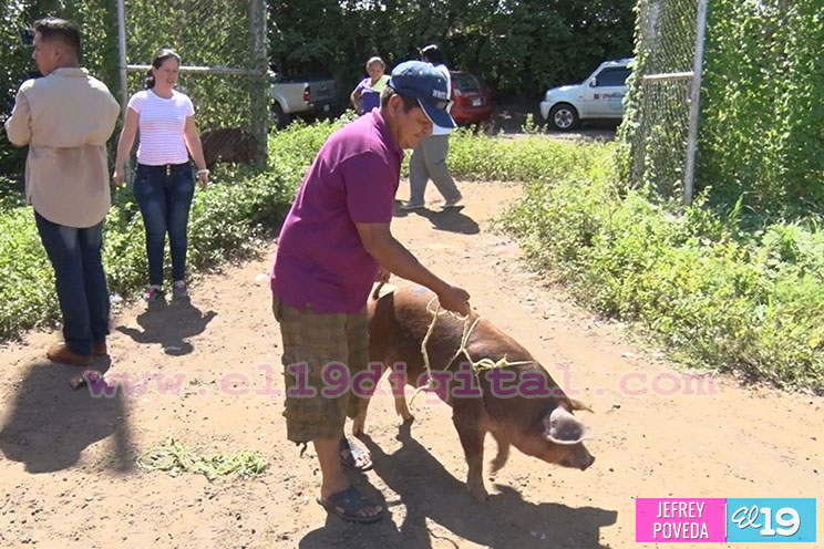 Bono Productivo Alimentario llega a más familias de Managua