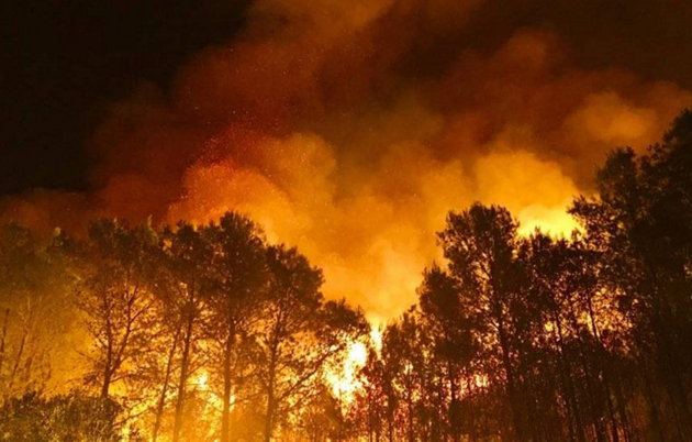 Un incendio quema 1.000 hectáreas en España y afecta un parque natural