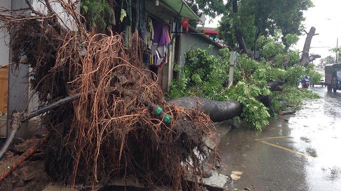 Vietnam toma medidas urgentes por tifón Mirinae