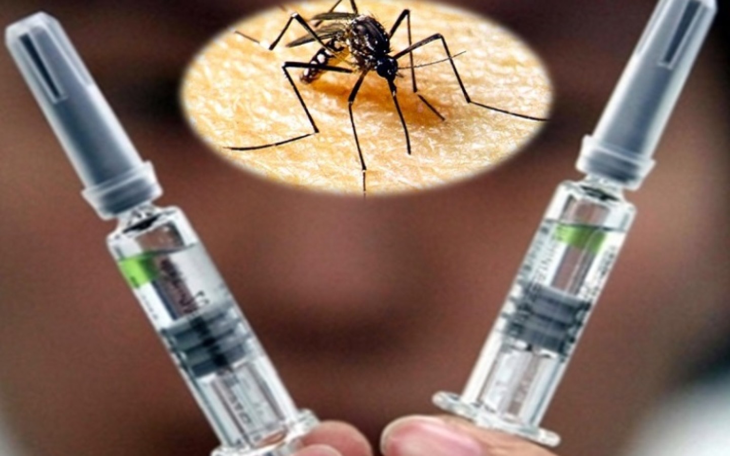 Prueban una segunda vacuna contra el zika en EU