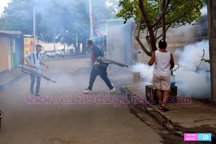 Jornadas de lucha antiepidémica son fundamentales para reducir enfermedades