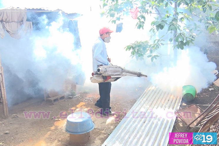 Los fumigadores que se encargan de eliminar al Aedes Aegypti