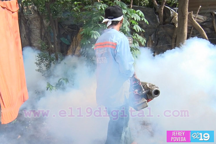 Los fumigadores que se encargan de eliminar al Aedes Aegypti