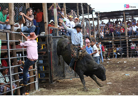 Foto: Grave embestida deja lesionado a “Tyson La Bestia Negra” en Diriomo/Cortesía