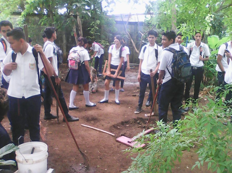 Estudiantes plantan un pequeño bosque en el patio del colegio y así luce una década después