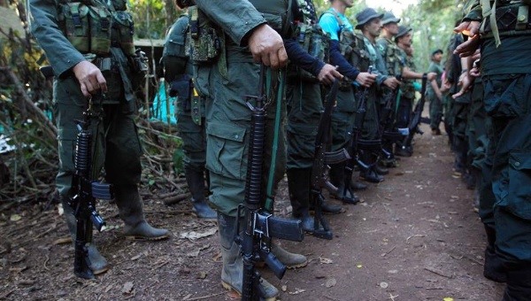 Colombia: CNE trabaja en personalidad jurídica de las FARC-EP