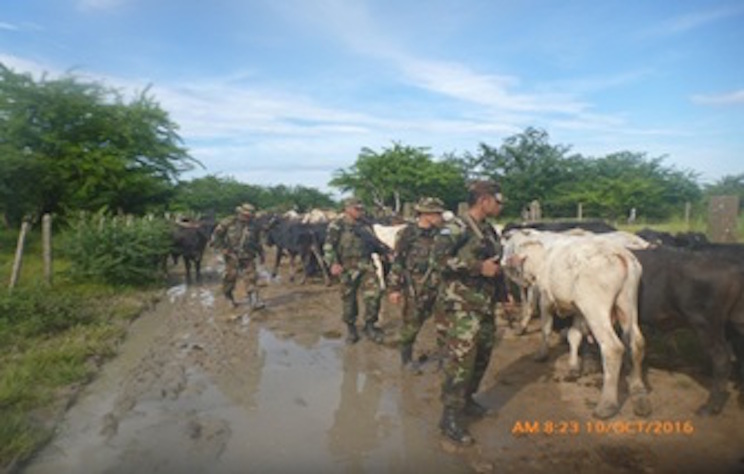 Ejército de Nicaragua informa sobre resultados de Operación Coordinada Sandino-Morazán