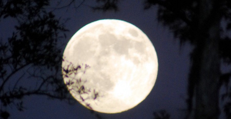 Luna de Cazador: Superluna del domingo será una de las más brillantes del año