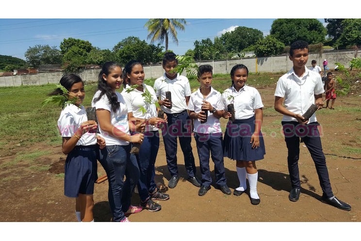 Juventud protagoniza jornada de reforestación en el barrio Las Torres
